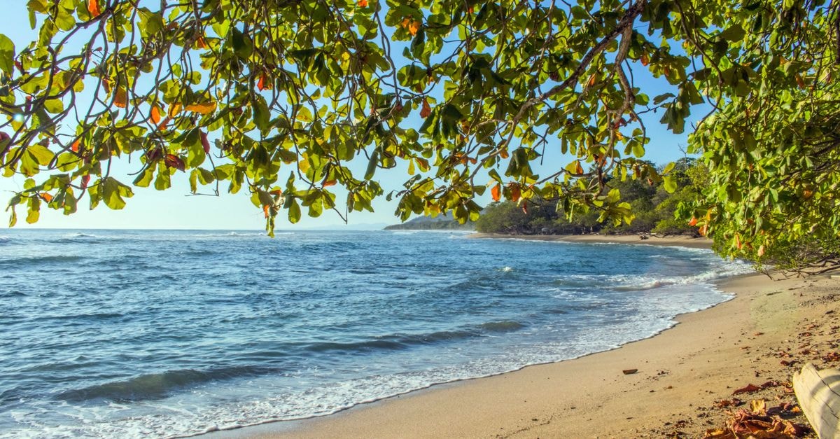 Hotel Puerto Azul in Puntarenas: Costa Rica's Iconic Immigrant Legacy Tranquil beach scene in Puntarenas, Costa Rica with lush greenery and calm waves.