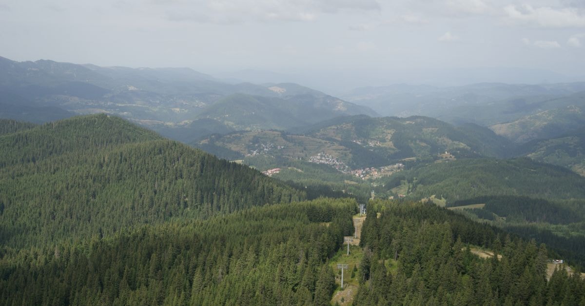 Pernik, Bulgaria: a slow-travel guide to Bulgaria's mining heart Aerial view of lush green mountains and forests in Pamporovo, Bulgaria.