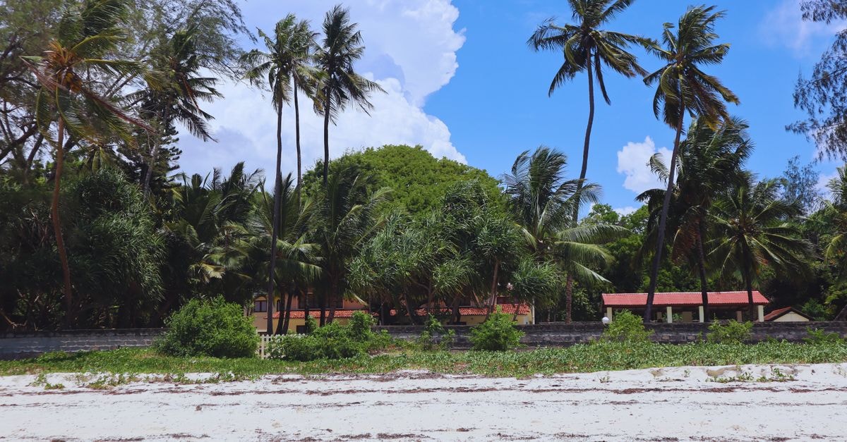 Kwale Travel Guide: Coastal Kenya's Soft-Paced Escape Serene tropical beach with palm trees and lush greenery in Mombasa, Kenya.