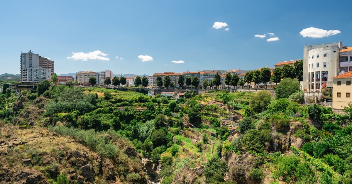 Casa da Carvoaria, Vila Real — A Stay in the Bairro dos Ferreiros Bright summer view of Vila Real, Portugal, showcasing lush greenery against urban architecture and blue skies.