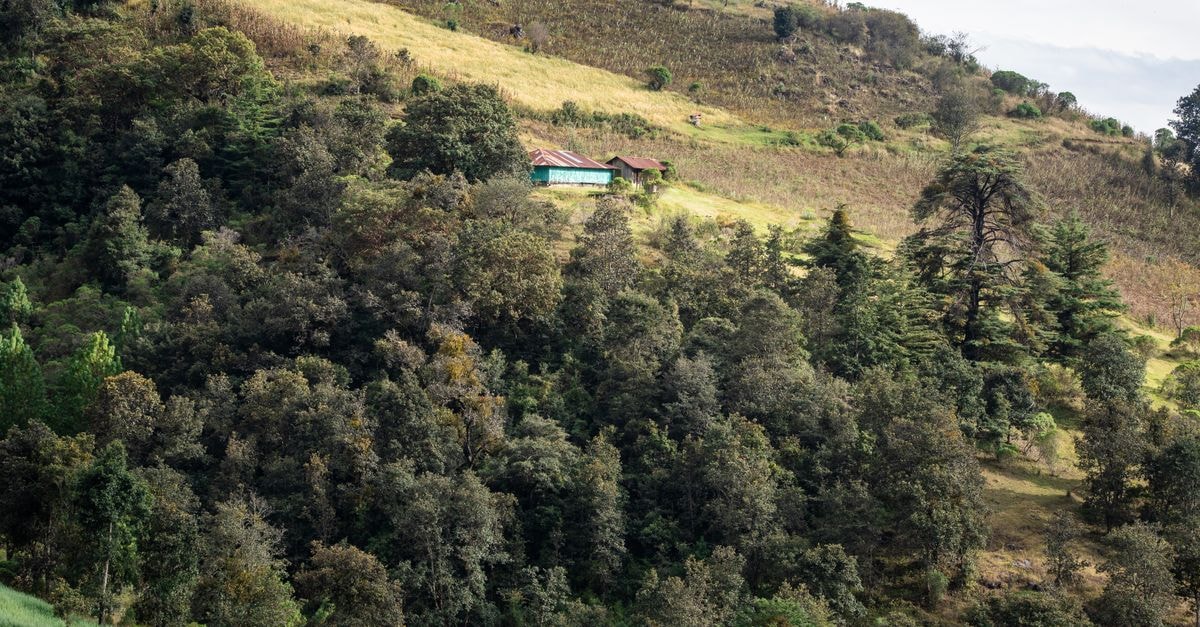 A picturesque hillside view with rural buildings amidst lush greenery in Chiantla, Guatemala.