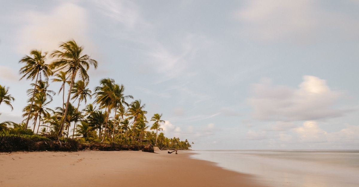 Praia travel guide: getting around, sights, and food Serene tropical beach lined with palm trees under a pastel sky. Ideal for travel themes.