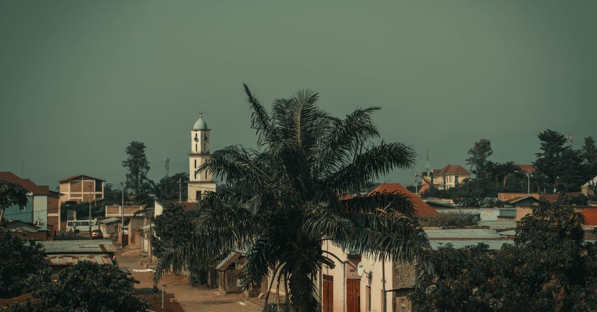 Scenic view of Bujumbura cityscape featuring a prominent church tower and palm tree.