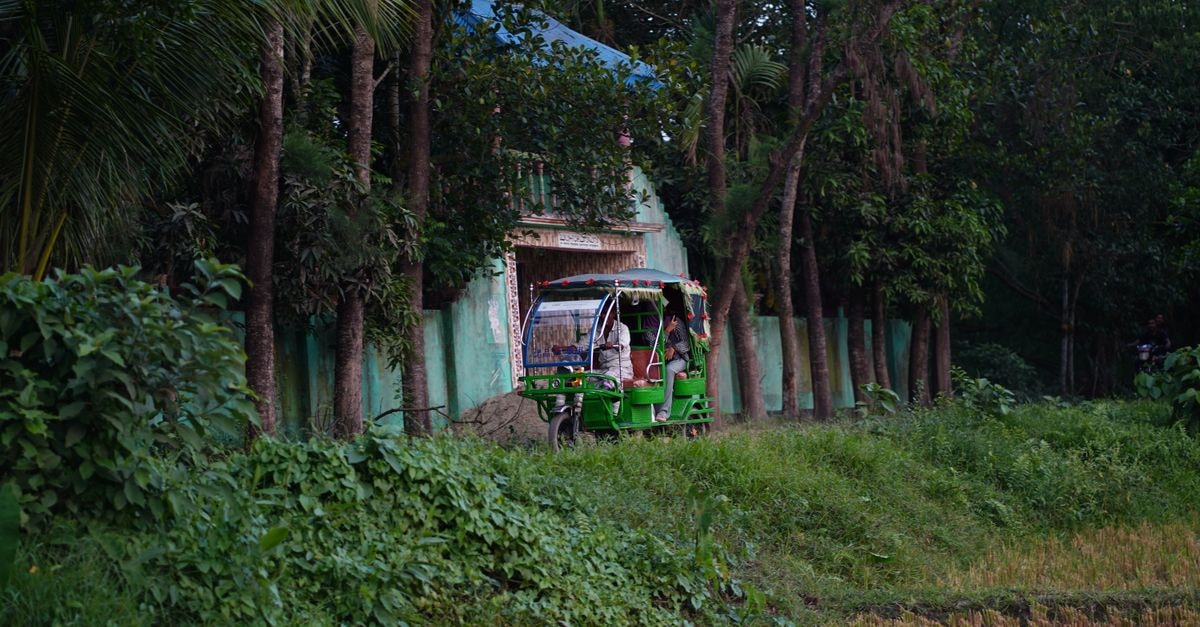Nowrangapur Travel Guide: Lush Landscapes and Local Rhythms A green rickshaw travels along a lush, tree-lined countryside road.
