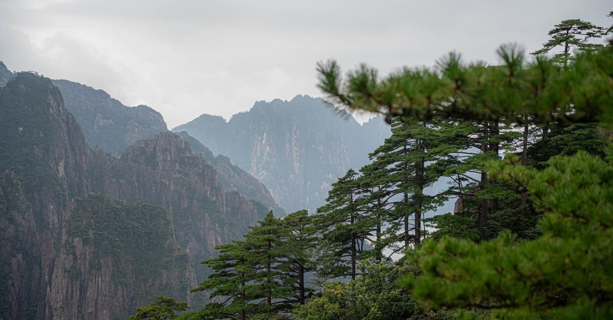 Huangshan Travel Guide: Practical Tips for the Mountain City of Anhui Breathtaking view of the lush Huangshan mountain range in Anhui Province, China.