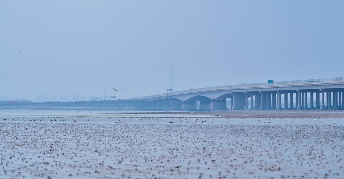 鹽城旅遊指南:濕地、鶴之鄉與海岸靜謐 一座長橋橫跨寧靜的海岸水域,遠處可見飛鳥。