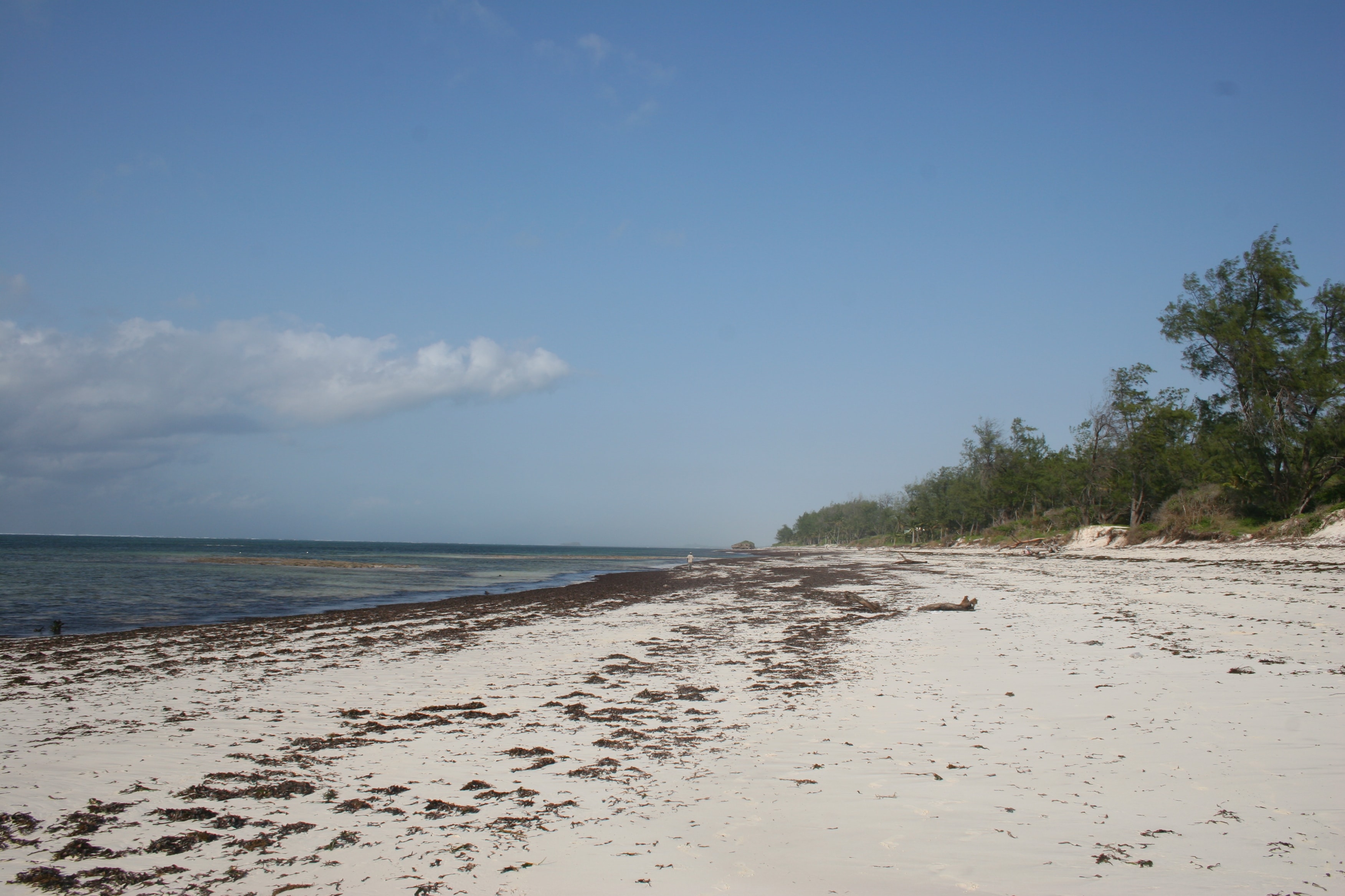 Kilifi Hotel in Kilifi: Beachfront Gardens Meet the Indian Ocean Watamu Beach, Kenya.JPG
