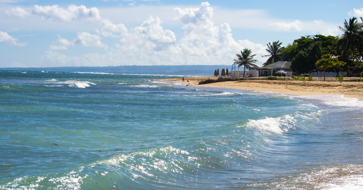 Les Cayes Travel Guide: A Slow Look at Haiti's Southern Coast A tranquil tropical beach scene with gentle waves, palm trees, and a clear blue sky.