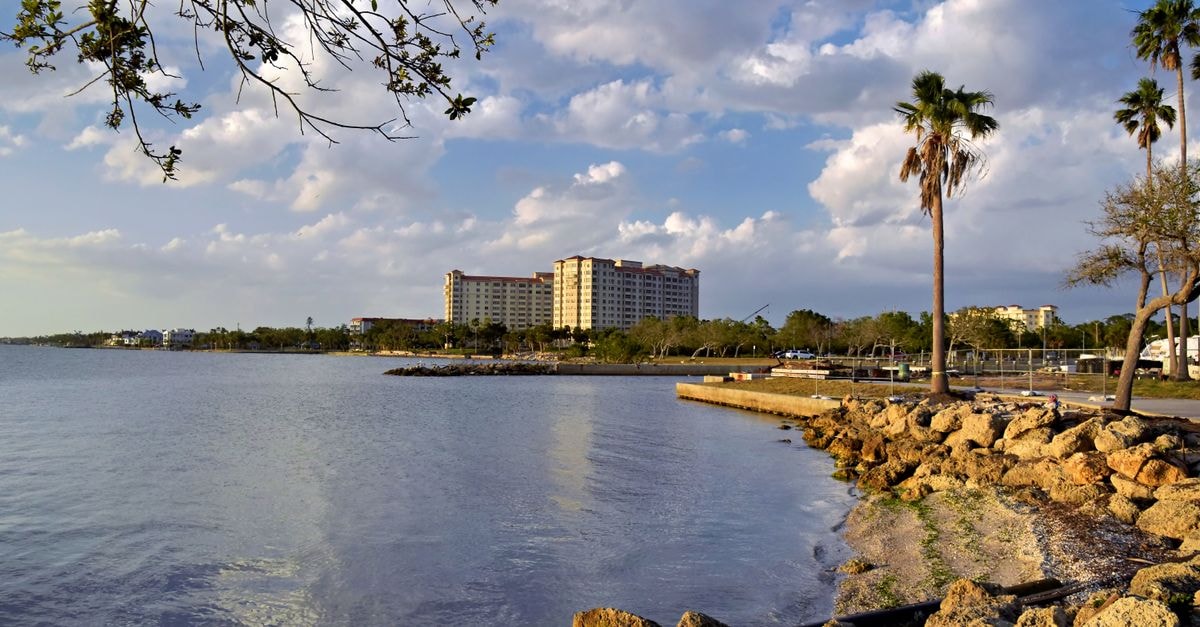 Peaceful waterfront in Sarasota with palm trees, rocks, and blue sky.