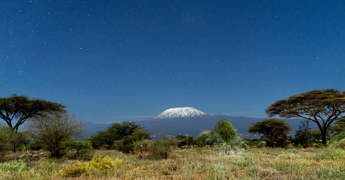 Moshi Travel Guide: Coffee, Waterfalls and Kilimanjaro Routes A breathtaking view of Mount Kilimanjaro framed by a clear starry night sky from Kajiado County, Kenya.