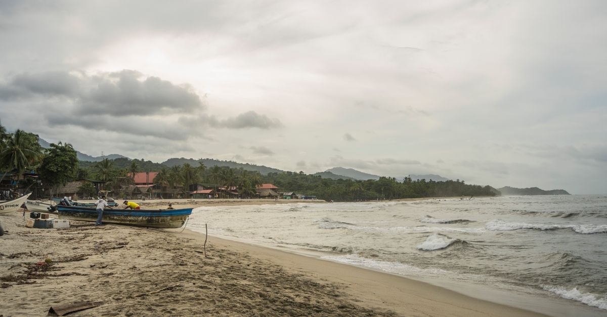 Tranquil beach scene in Palomino, Colombia with boats and palm trees under a cloudy sky.