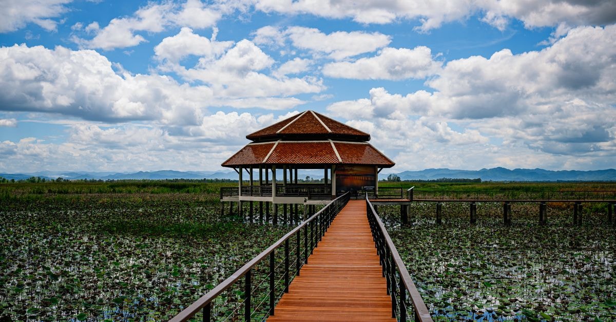 Sakon Nakhon Travel Guide: Planning Tips, Costs and Things to Do Wooden pavilion on a serene lake with lush vegetation under a blue sky in Chumphon, Thailand.