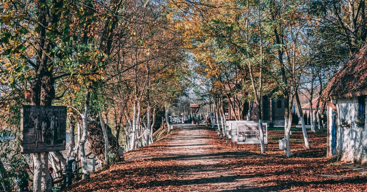 Galati Travel Guide: Planning Tips, Costs and Things to Do A tranquil autumn path lined with trees and fallen leaves in a rural setting, capturing the essence of fall.