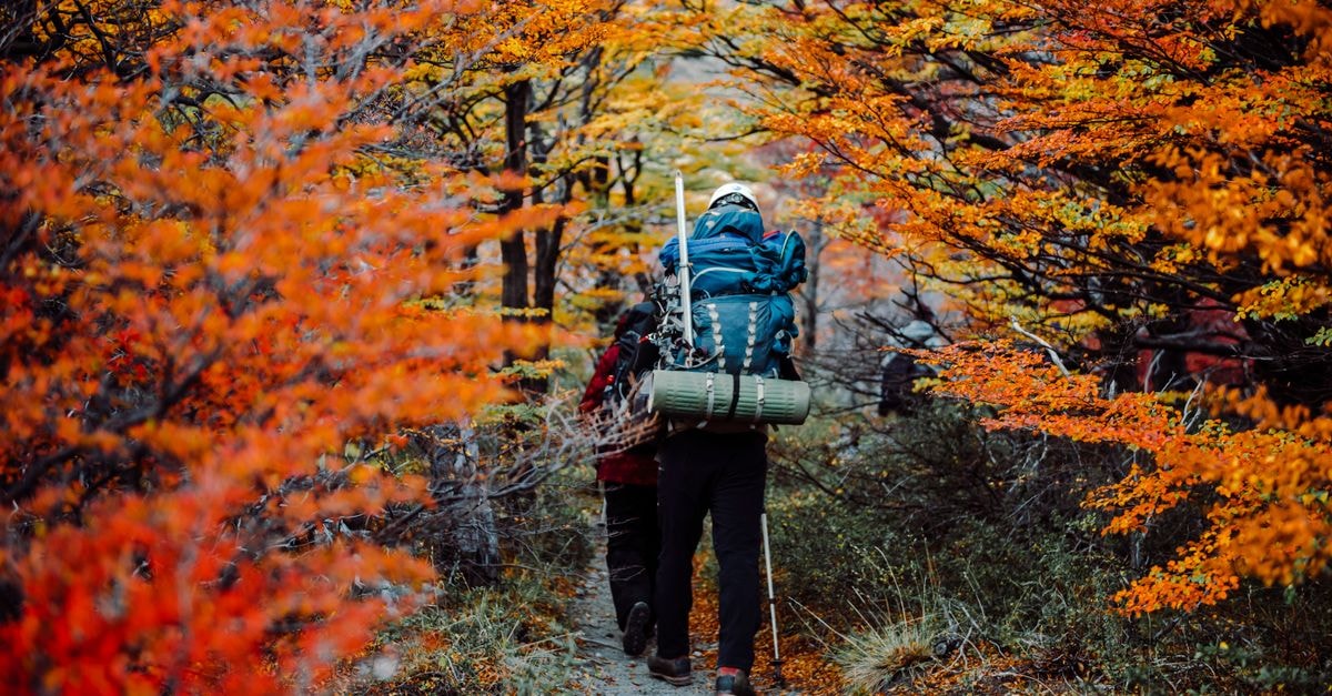 A group of hikers enjoying a colorful autumn trek in El Chalten, Argentina.
