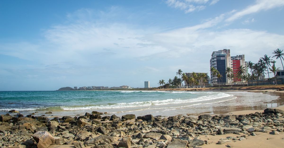 Barranquilla travel guide: music, coast, and practical tips Explore the tranquil beach with palm trees and city buildings under a clear sky.