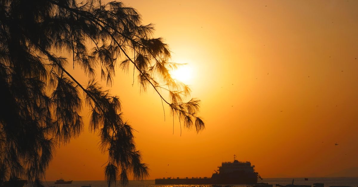 A Quiet Coastal Pause: An Ajman Travel Guide Serene sunset by the ocean with a silhouetted pier and branches against a golden sky.