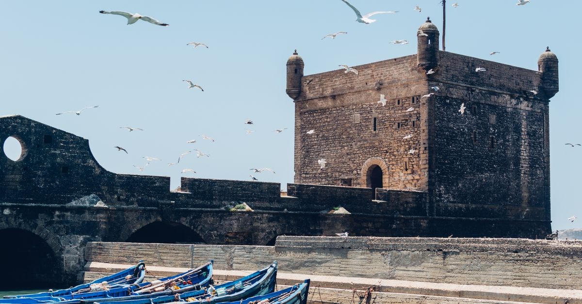 Riad Dar Dialkoum, Marrakesh — A Garden-Style Riad in the Old Medina A scenic view of the Essaouira citadel with seagulls in flight and boats docked at the harbor.