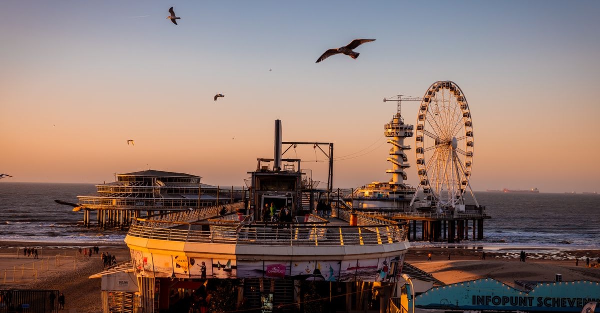 The Hague travel guide: coastal calm and easy transit Sunset at Scheveningen Pier with ferris wheel and seagulls flying over the sea in The Hague, Netherlands.