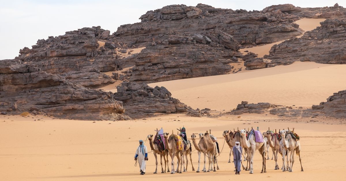 Biskra Travel Guide: A Calm Look at Algeria's Desert Edge Camels and people traverse rocky desert terrain in Illizi, Algeria.
