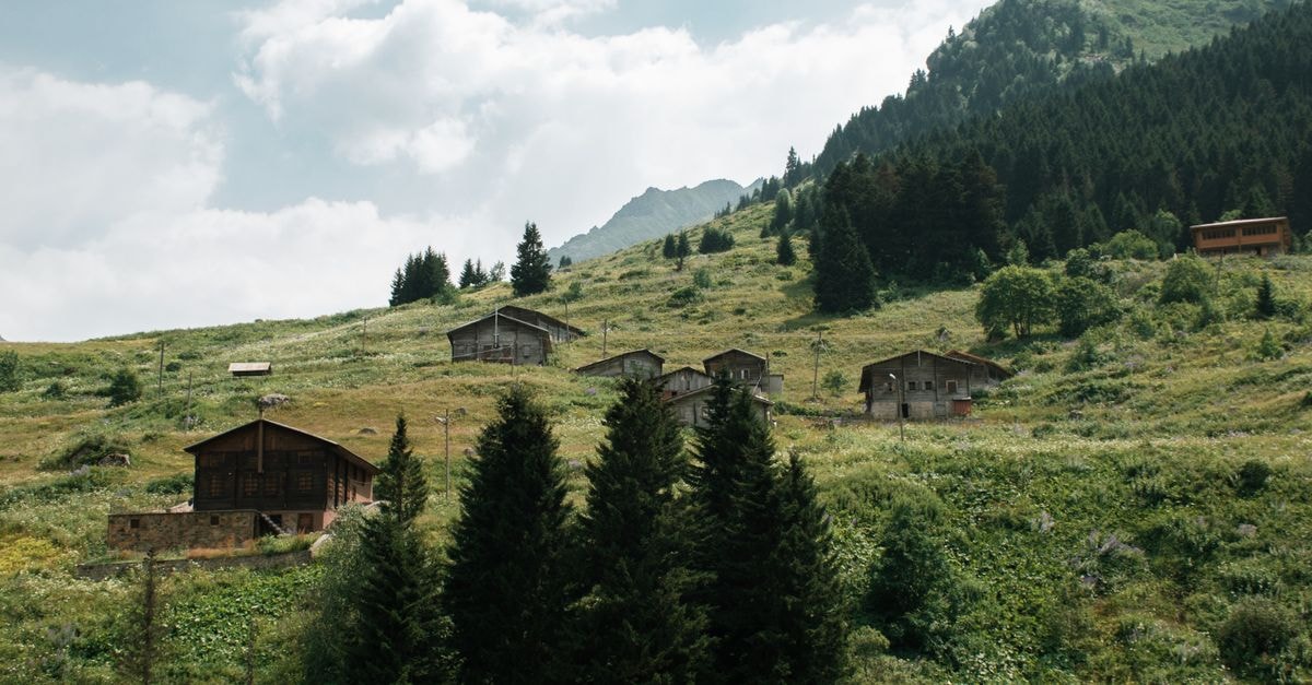 Berovo Travel Guide: A Quiet Mountain Retreat in North Macedonia Charming wooden chalets nestled in a lush green mountain valley under a bright summer sky.