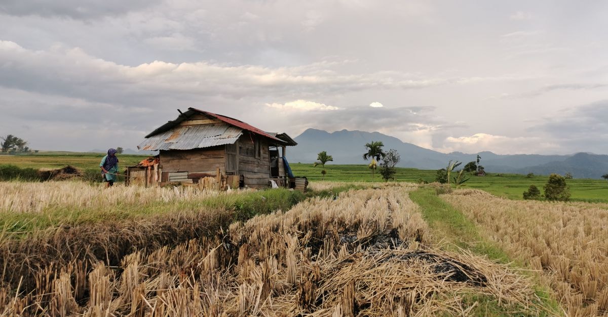 Hotel Seri Malaysia, Sungai Petani — A Quiet Stop in Kedah's Second-Largest City A serene view of a traditional farmhouse and rural landscape in Sungai Tarab, Indonesia.