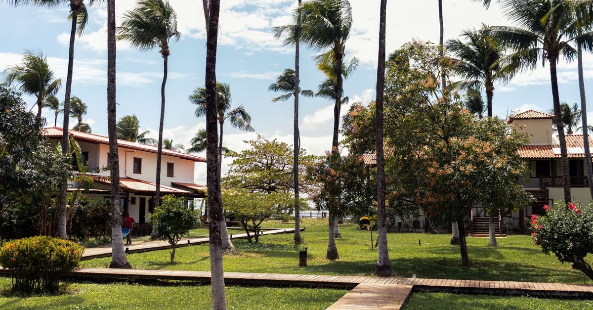 Slow days on the São Francisco: a Juazeiro travel guide A scenic tropical resort amidst palm trees in Morro de São Paulo, Bahia, Brazil.