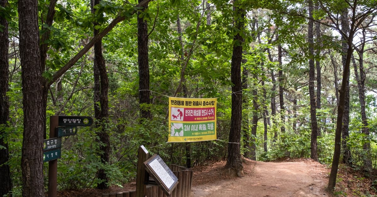 Cheonan Travel Guide: A Quiet South Korea Stop Worth Discovering Lush green forest trail with signs indicating paths and guidance through nature.