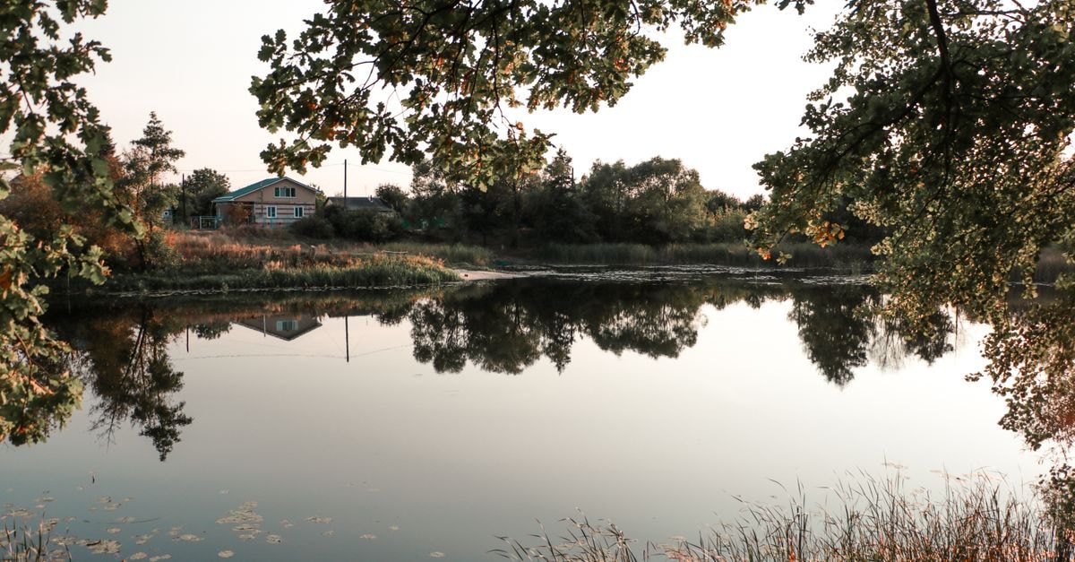 A serene countryside scene with trees reflecting in a calm lake.
