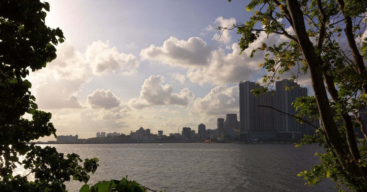 Vibrant city skyline framed by lush trees during sunset across a calm waterfront.