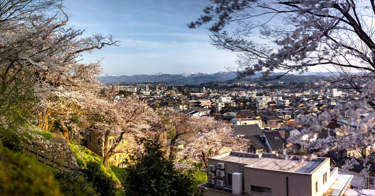 Tokyu Rei Hotel Suita: A Handy Esaka-West Address Scenic view of Kanazawa city with cherry blossoms in full bloom during springtime.
