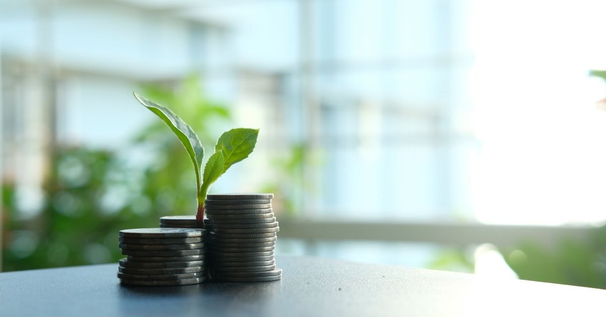 預期 Stryker 盈利將成長,但預估修正削弱前景 一株從堆疊的銀幣中長出的小植物,象徵金融業的成長。