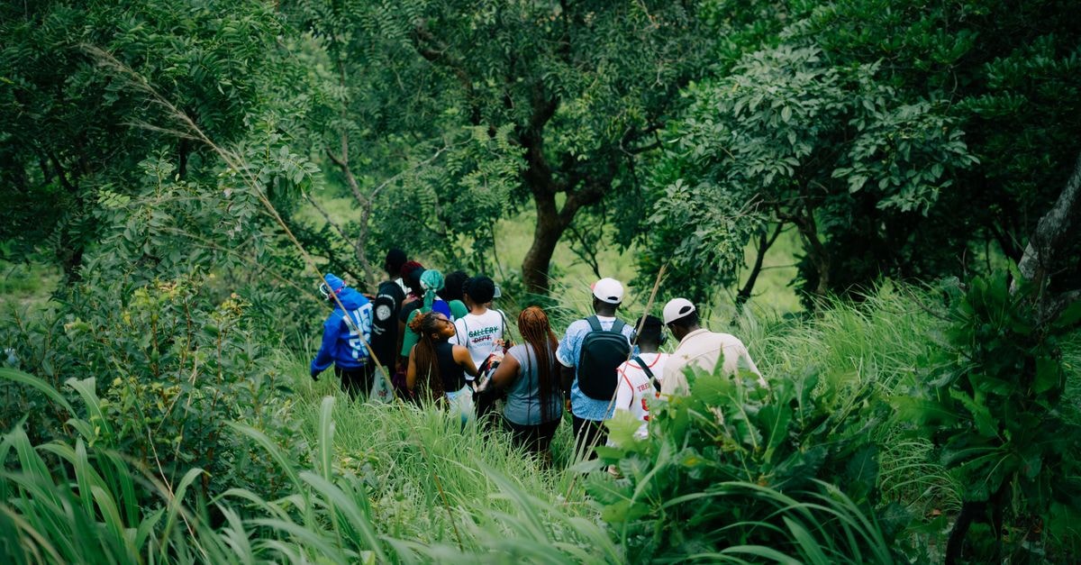Nansana Travel Guide: A Practical, Community-Led Visit A diverse group of people enjoying a hike in a lush, green forest.