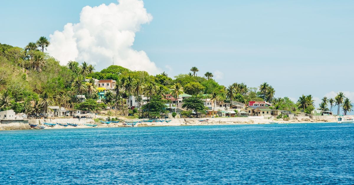 Port-de-Paix, Haiti: A Quiet Coastal Travel Guide Picturesque coastal village with palm trees along a tropical beach under a bright summer sky.