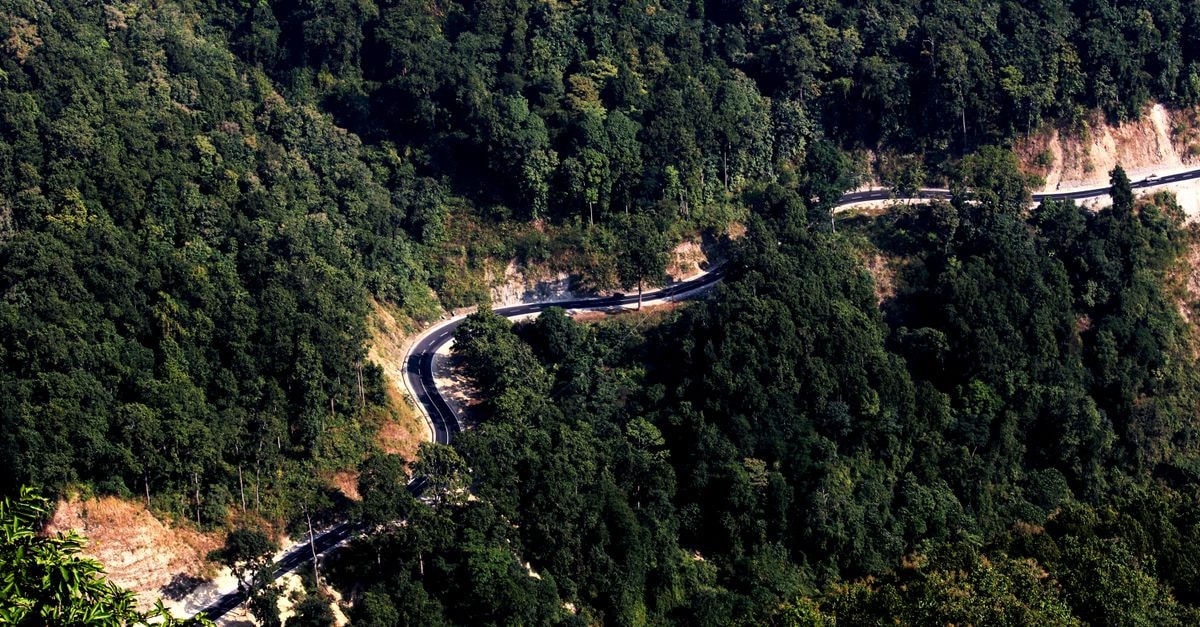 High angle shot of a winding road through a lush forest, capturing nature's beauty and scenic travel routes.