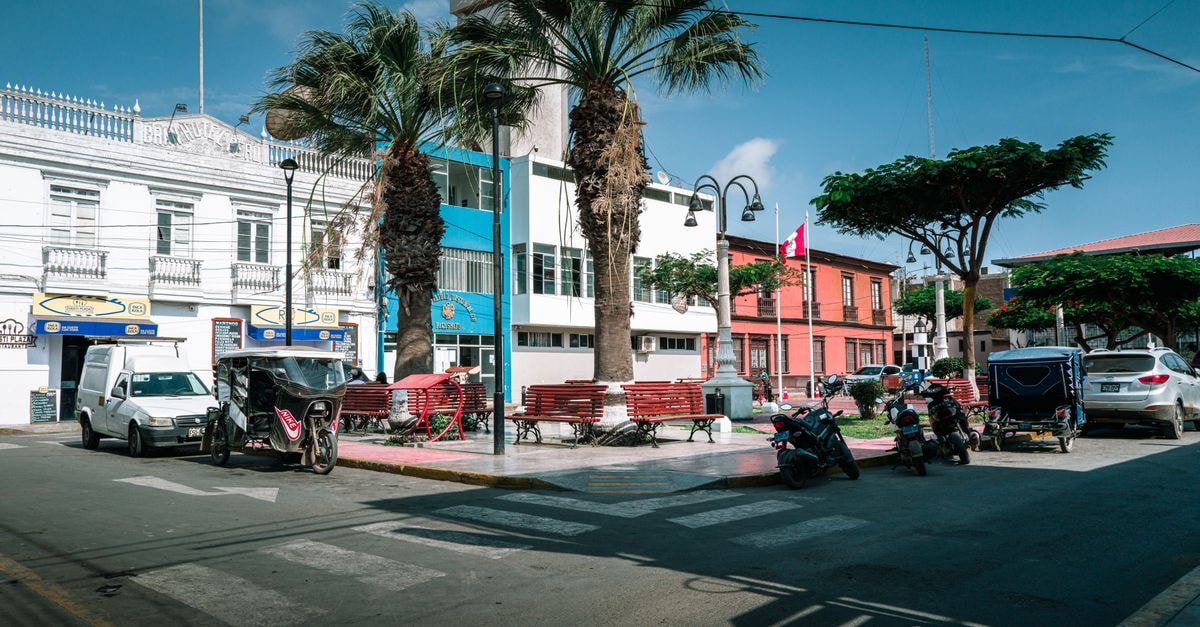 Sunny day in Pacasmayo showing a bustling street with vehicles and palm trees.