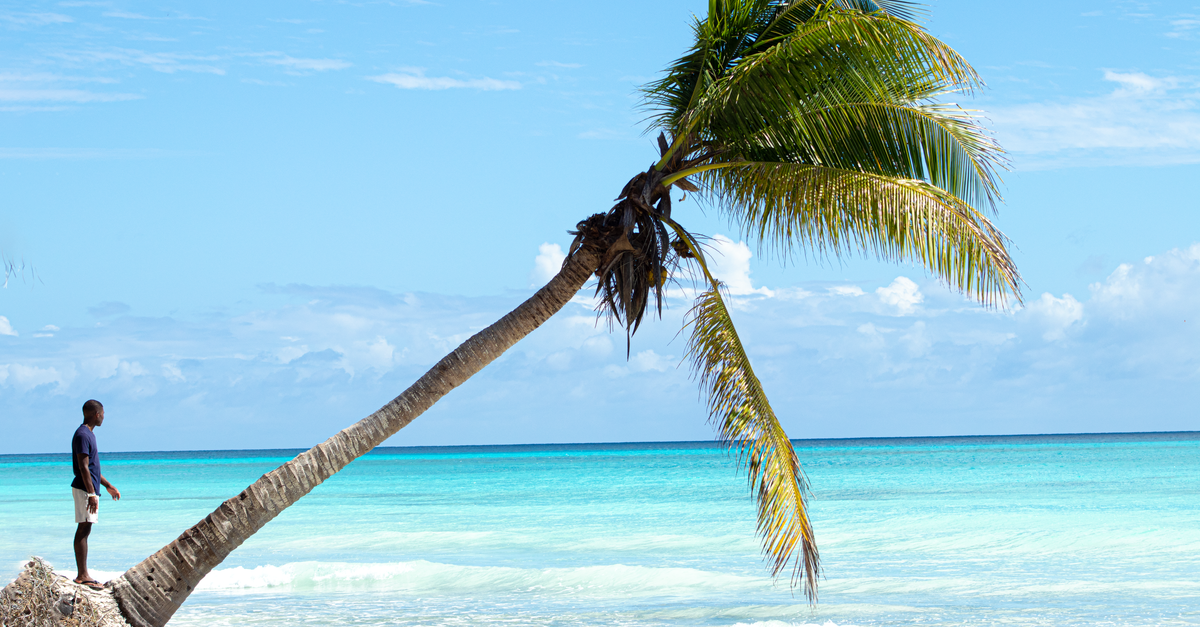 Relaxing tropical beach with palm trees in República Dominicana.