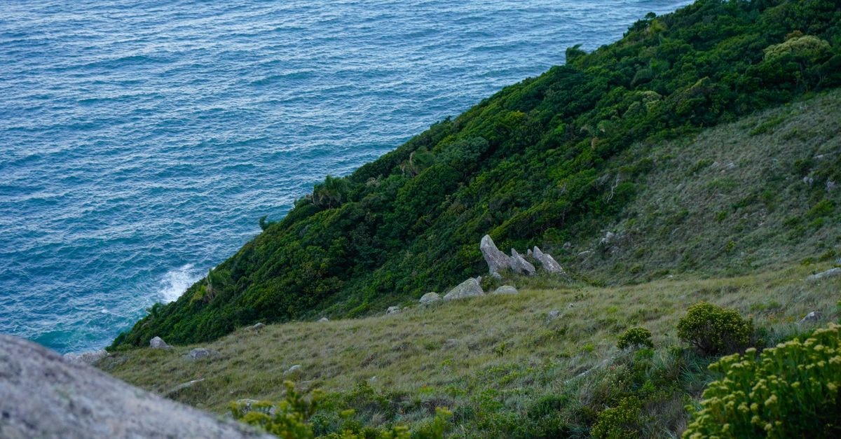Lush green hillside leading to ocean waves in Florianópolis, Brazil, showcasing natural beauty.