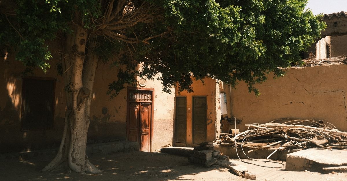 Moussoro travel guide: quiet corners of Barh el Gazel Charming village scene in Luxor, Egypt, showing rustic doors and a large tree.