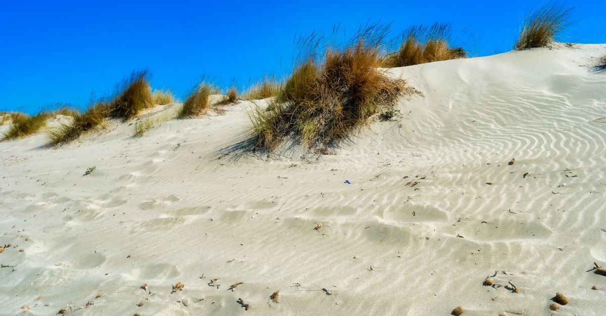 Beautiful sand dunes under a clear blue sky in Porto Pino, Sardinia, Italy.