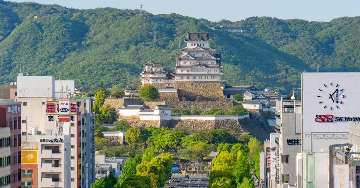 Matsuyama Travel Guide: Planning Tips, Costs and Things to Do Stunning view of Himeji Castle surrounded by the city and lush greenery in Japan.
