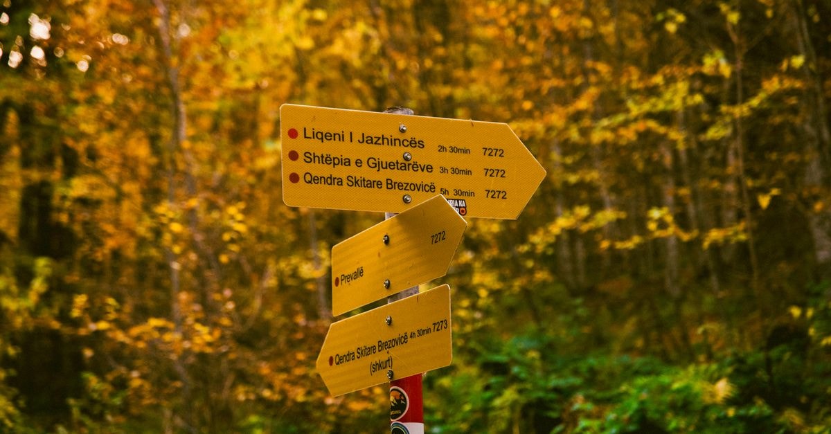 Bistriţa Travel Guide: Planning Tips, Costs and Things to Do Yellow signposts marking directions in a scenic autumn forest landscape.