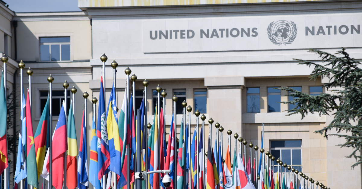 Six Flags Entertainment: Summer Quarter Cash, but a Levered Balance Sheet Colorful flags outside the United Nations office in Geneva, symbolizing global unity.