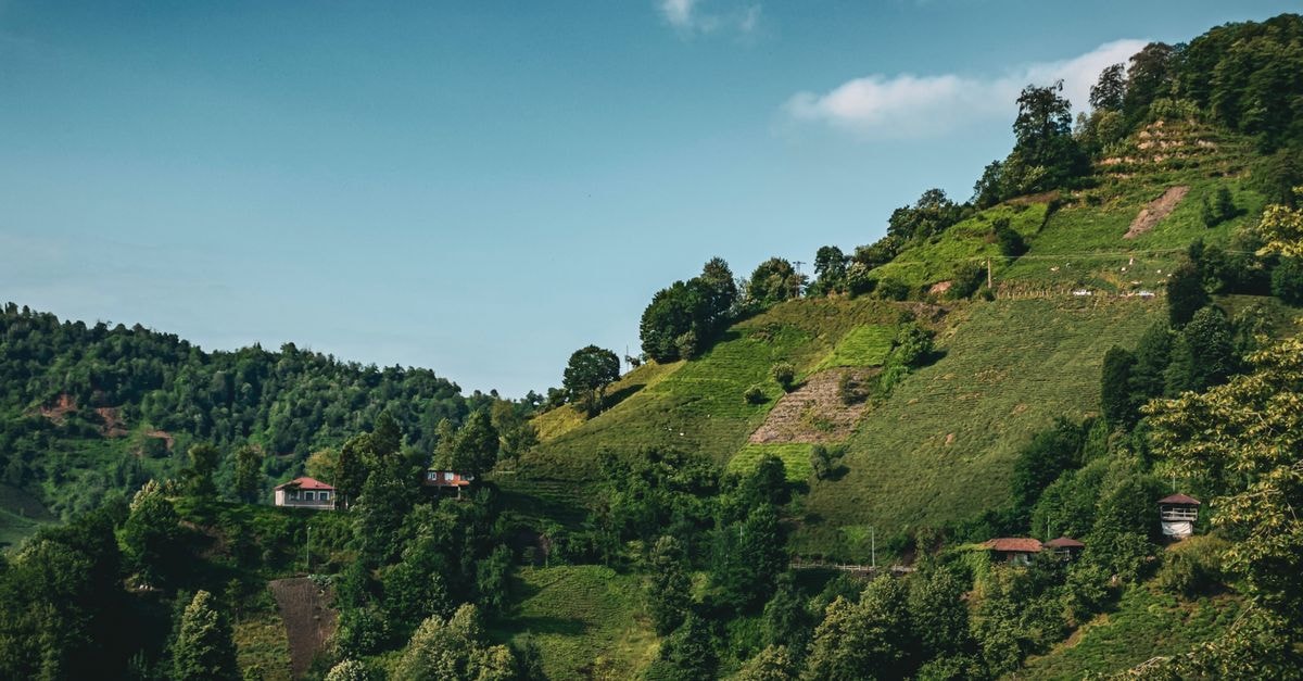 Gorgan Travel Guide: Caspian Forests and Bazaar Flavors Explore the lush green hills of Güvercinli, Artvin with this stunning landscape image.