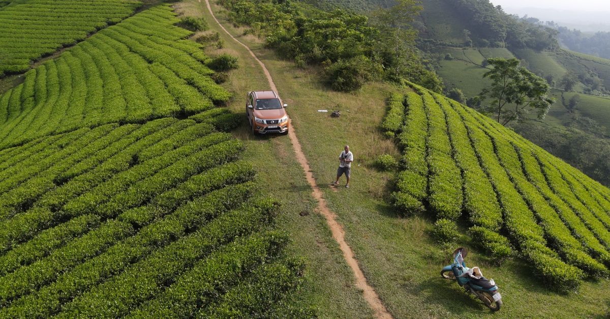 Bubanza Travel Guide: Tea Hills and Quiet Rural Burundi Drone view of SUV car and motorcycle parked near unrecognizable male traveler standing on green hill with tea plantations during trip in Vietnam
