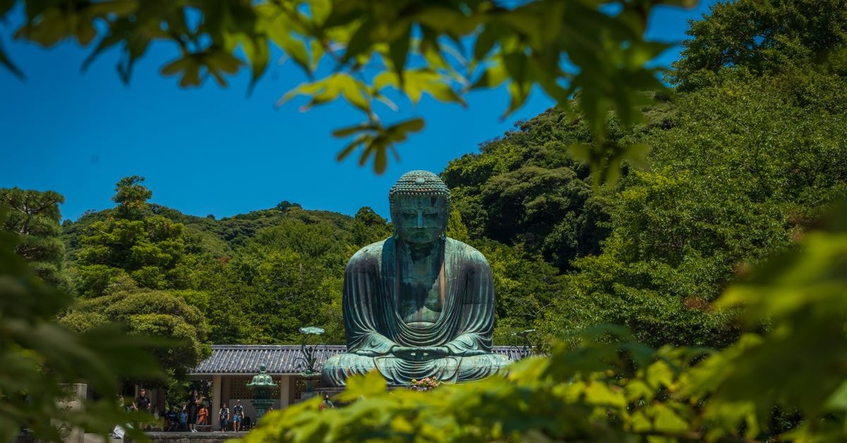 The Great Buddha of Kamakura is framed by vibrant green foliage under a clear blue sky in Kanagawa, Japan.