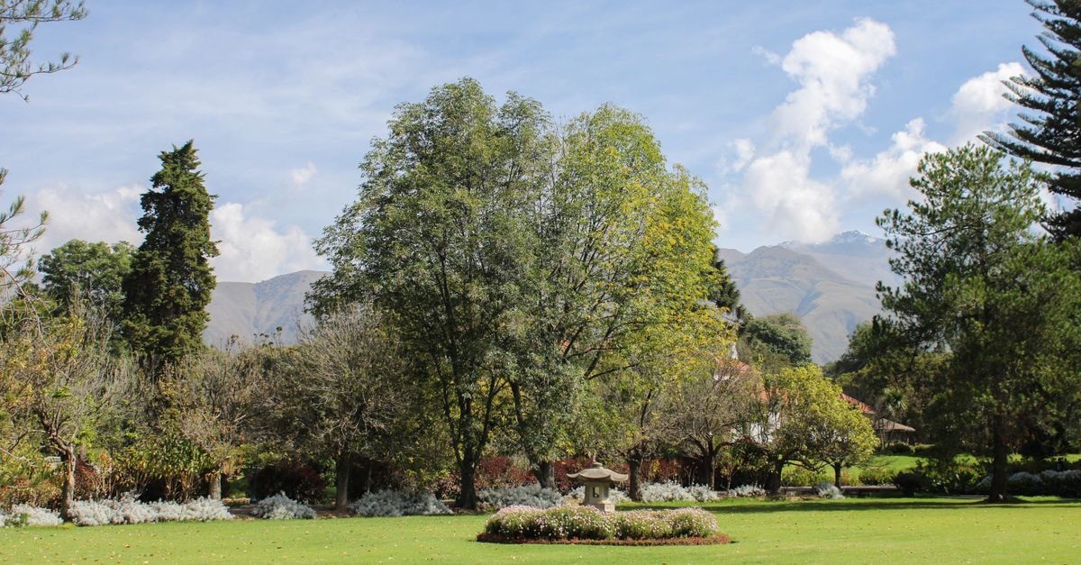 Cochabamba Travel Guide: A Bolivian Valley of Easy Days Tranquil park scene in Cochabamba, Bolivia showcasing lush greenery and distant mountains.