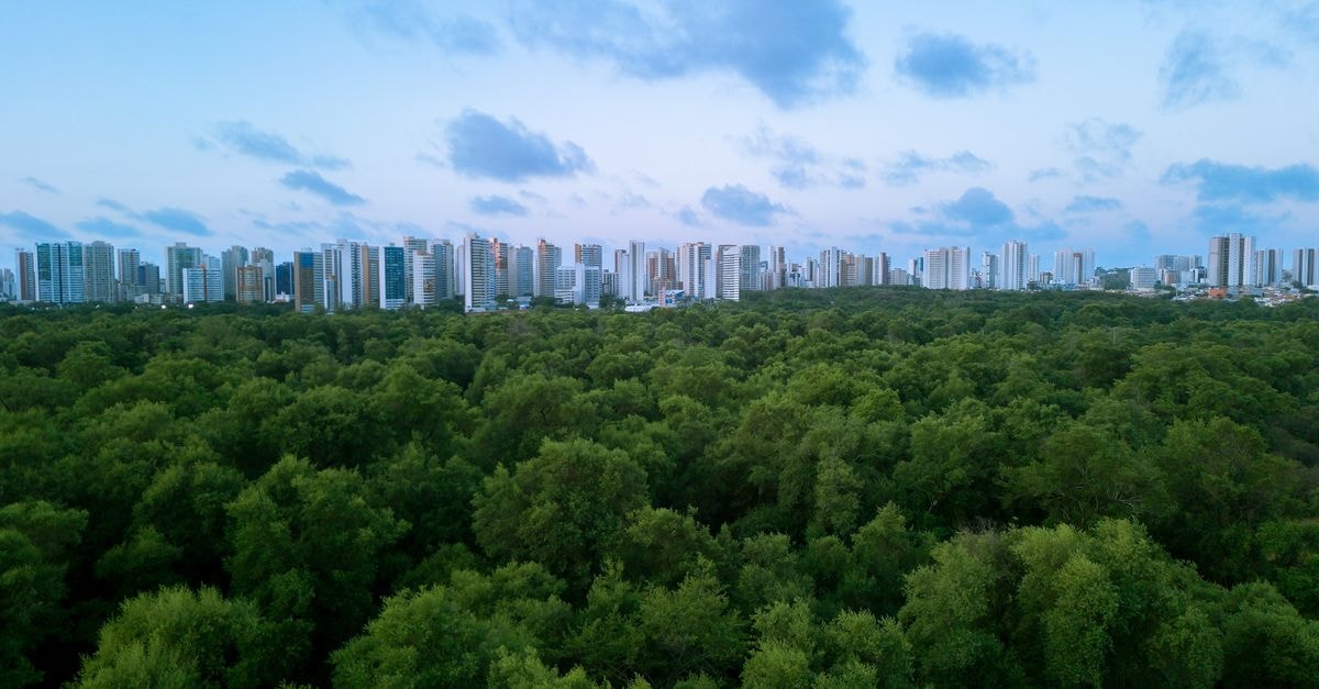 Hotel Enseada, Maceió — Steps from the Pajuçara Tidal Pools Explore the harmony between urban skyline and lush forest in Fortaleza, Brazil.