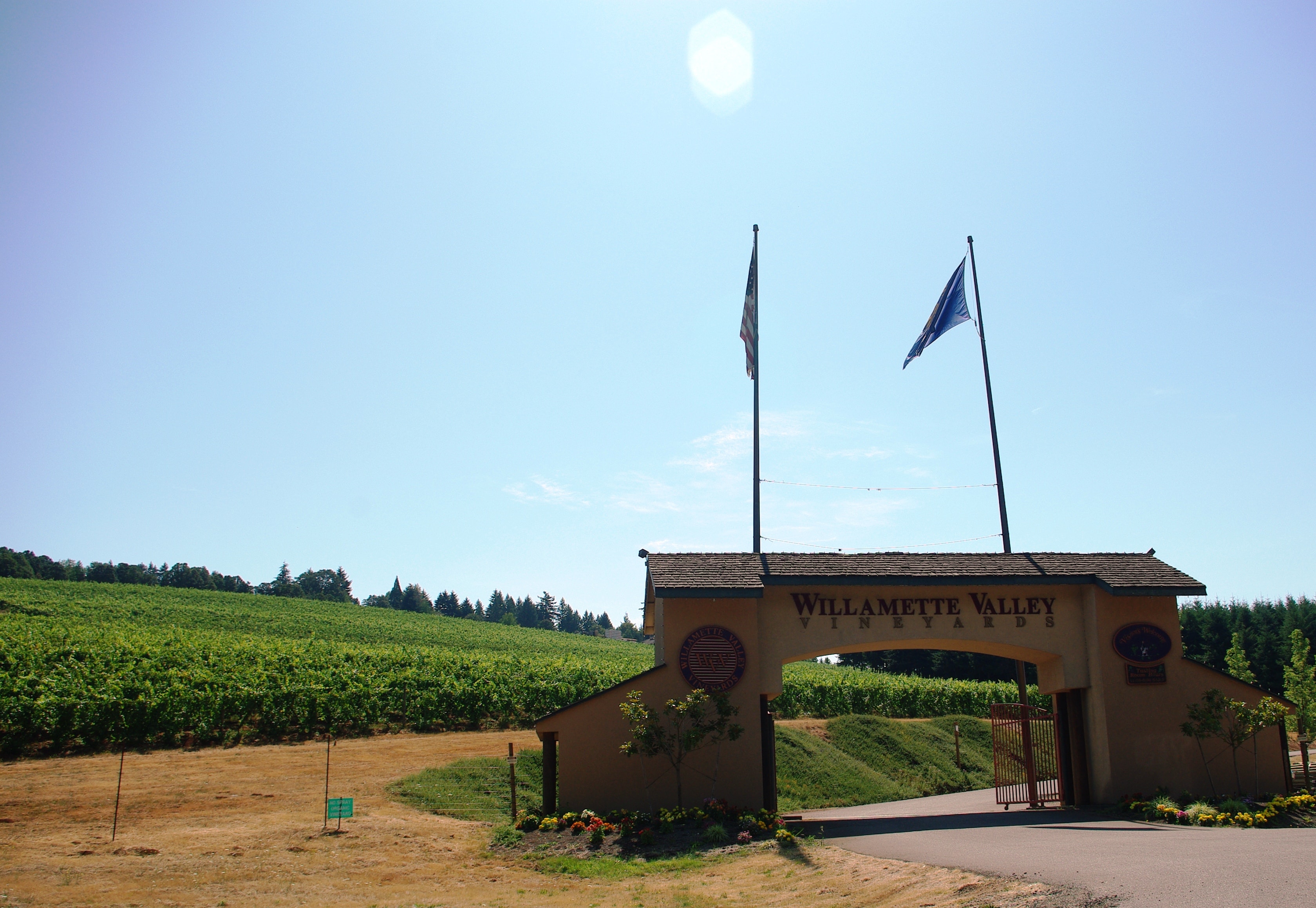 Willamette Valley Vineyards: A Premium-Oregon Winemaker Trading on Cyclical Headwinds and Capital Structure Illustration for Willamette Valley Vineyards: A Premium-Oregon Winemaker Trading on Cyclical Headwinds and Capital Structure: Willamette Valley Vineyards entrance.JPG