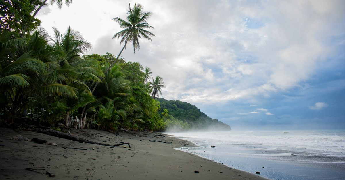 Liberia, Costa Rica Travel Guide: A Calm Gateway to Guanacaste Serene beach scene in Pavones, Costa Rica, with misty shores and palm trees.