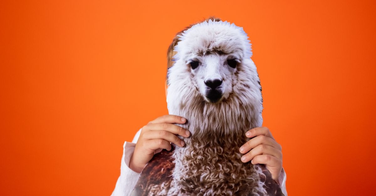 Meta faces publisher lawsuit over Llama training data as it pivots to paid Muse Spark API A child holding a llama mask against a bright orange background for a playful and joyful theme.